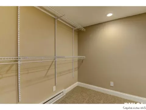95 Nevermind Dr, Chatham, IL 62629 photo 22