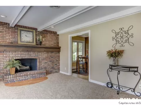 95 Nevermind Dr, Chatham, IL 62629 photo 12