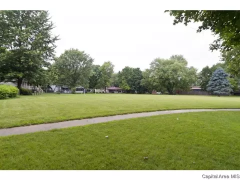 95 Nevermind Dr, Chatham, IL 62629 photo 27