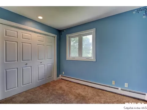 95 Nevermind Dr, Chatham, IL 62629 photo 17