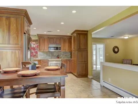95 Nevermind Dr, Chatham, IL 62629 photo 8