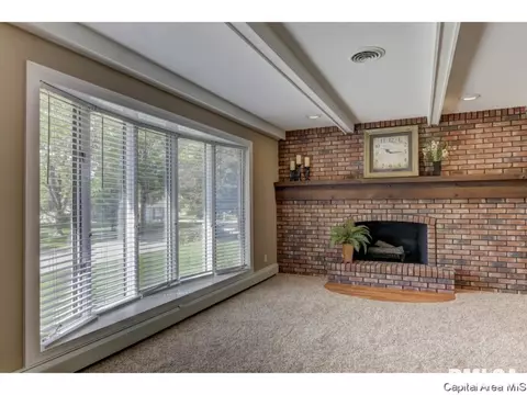 95 Nevermind Dr, Chatham, IL 62629 photo 11