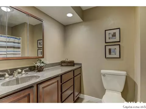 95 Nevermind Dr, Chatham, IL 62629 photo 18