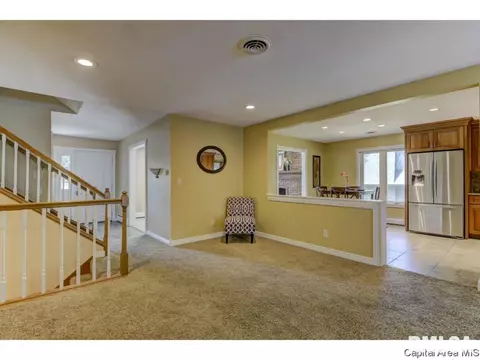 95 Nevermind Dr, Chatham, IL 62629 photo 9