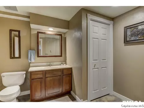 95 Nevermind Dr, Chatham, IL 62629 photo 21