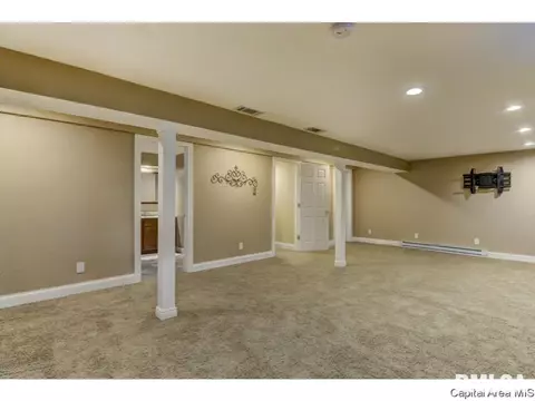 95 Nevermind Dr, Chatham, IL 62629 photo 20