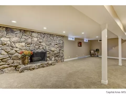 95 Nevermind Dr, Chatham, IL 62629 photo 19