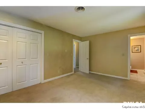95 Nevermind Dr, Chatham, IL 62629 photo 14