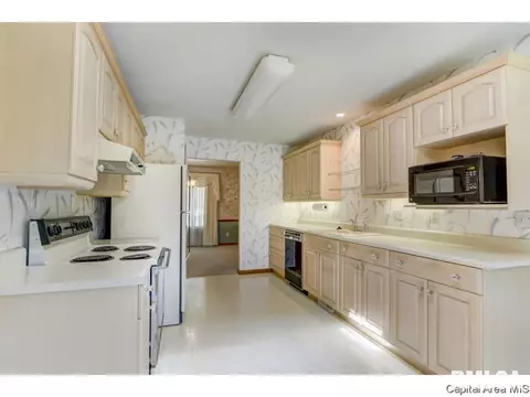 2304 Heather Mill Ct, Springfield, IL 62704 photo 22