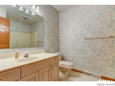 2304 Heather Mill Ct, Springfield, IL 62704 photo 28