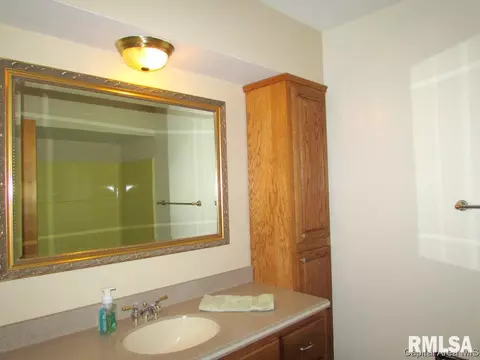 259 Yeoman, Springfield, IL 62704 photo 17