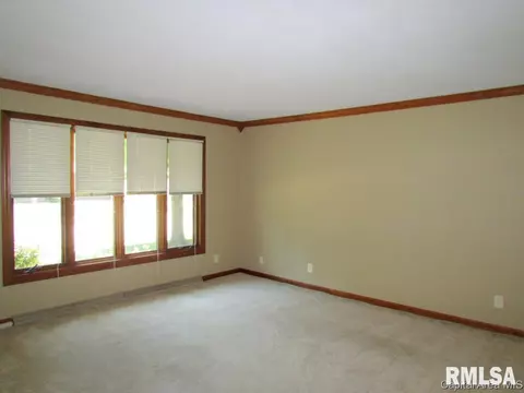 259 Yeoman, Springfield, IL 62704 photo 3