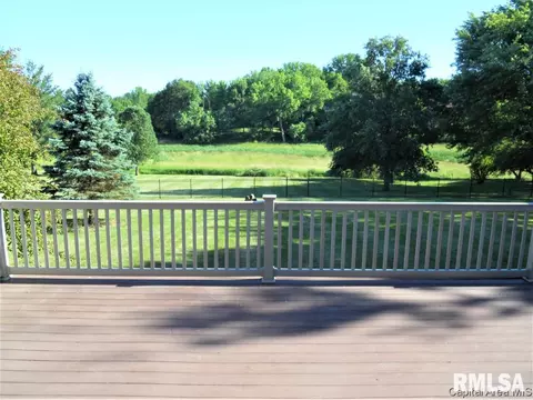 658 Bonanza Pass, Springfield, IL 62707 photo 25