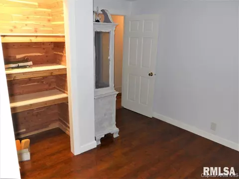 658 Bonanza Pass, Springfield, IL 62707 photo 22