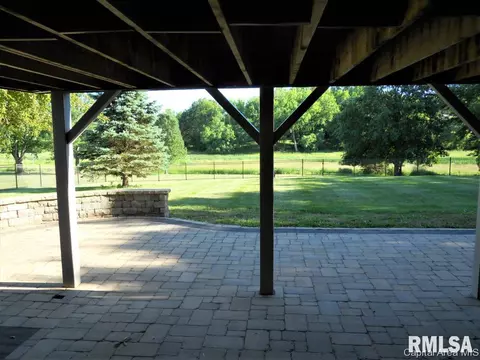 658 Bonanza Pass, Springfield, IL 62707 photo 24