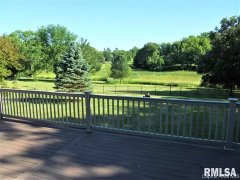 658 Bonanza Pass, Springfield, IL 62707 photo 26