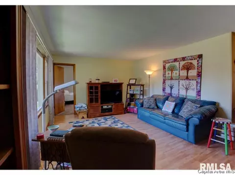 17 Horseshoe Dr, Springfield, IL 62702 photo 11