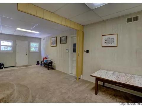 17 Horseshoe Dr, Springfield, IL 62702 photo 23