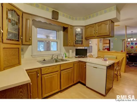 17 Horseshoe Dr, Springfield, IL 62702 photo 28
