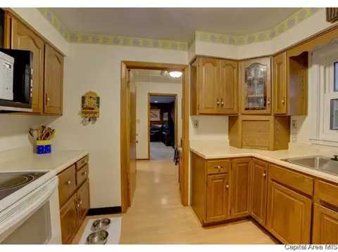 17 Horseshoe Dr, Springfield, IL 62702 photo 30