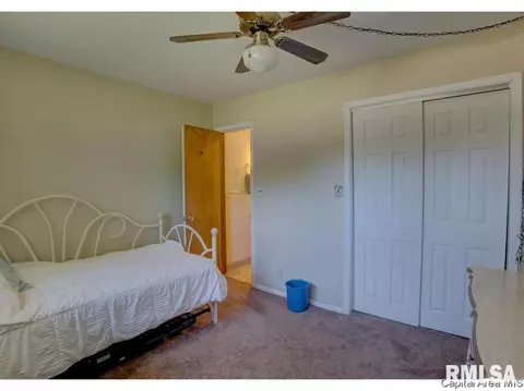 17 Horseshoe Dr, Springfield, IL 62702 photo 13
