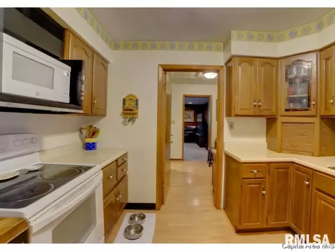 17 Horseshoe Dr, Springfield, IL 62702 photo 31