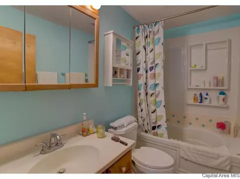 17 Horseshoe Dr, Springfield, IL 62702 photo 34