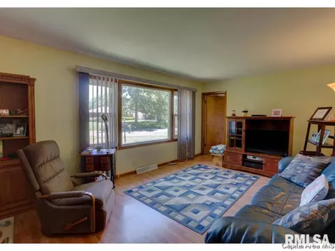 17 Horseshoe Dr, Springfield, IL 62702 photo 10