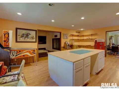17 Horseshoe Dr, Springfield, IL 62702 photo 16