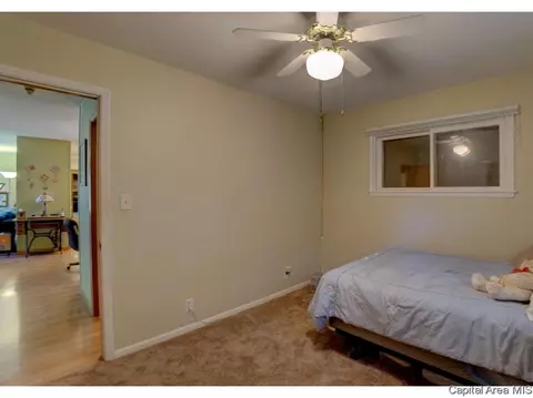 17 Horseshoe Dr, Springfield, IL 62702 photo 33