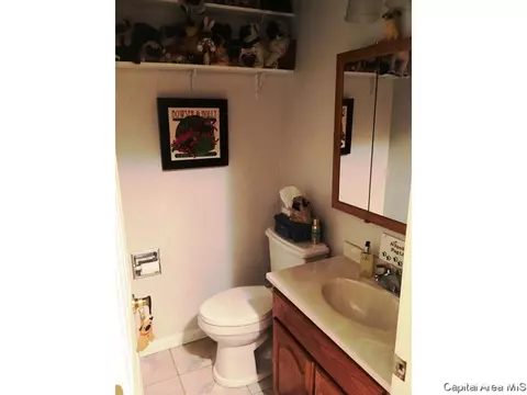 2521 Austin Dr, Springfield, IL 62704 photo 13