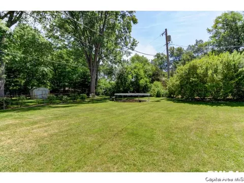 910 Greenview Dr, Springfield, IL 62704 photo 34