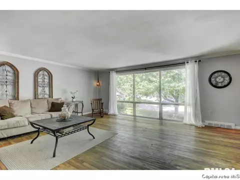 910 Greenview Dr, Springfield, IL 62704 photo 3