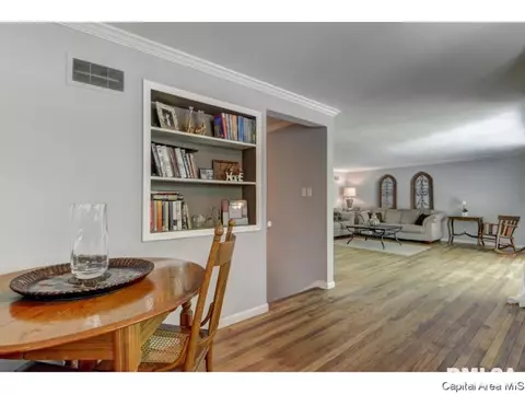 910 Greenview Dr, Springfield, IL 62704 photo 10