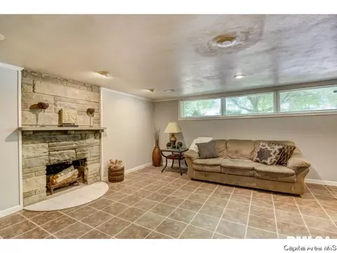 910 Greenview Dr, Springfield, IL 62704 photo 29