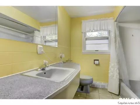 910 Greenview Dr, Springfield, IL 62704 photo 24