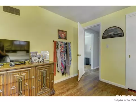 910 Greenview Dr, Springfield, IL 62704 photo 19