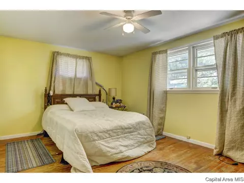 910 Greenview Dr, Springfield, IL 62704 photo 17