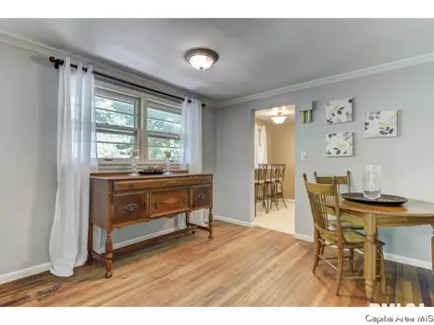 910 Greenview Dr, Springfield, IL 62704 photo 9