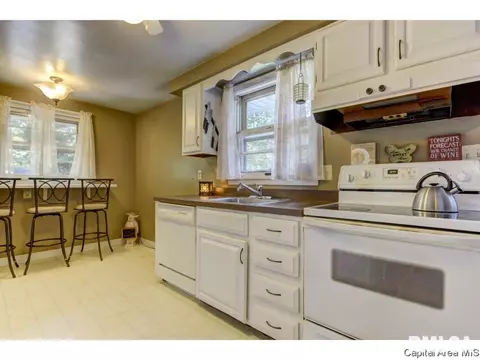 910 Greenview Dr, Springfield, IL 62704 photo 15