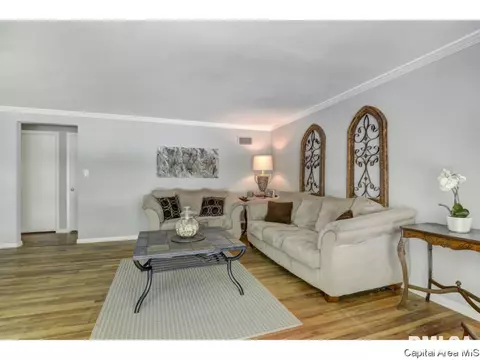 910 Greenview Dr, Springfield, IL 62704 photo 4