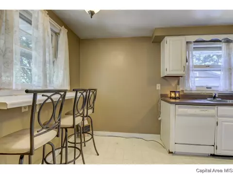 910 Greenview Dr, Springfield, IL 62704 photo 14