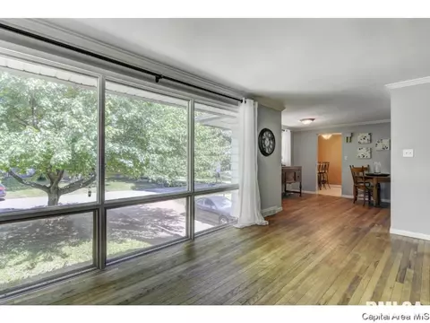 910 Greenview Dr, Springfield, IL 62704 photo 6