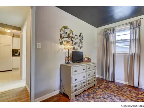 910 Greenview Dr, Springfield, IL 62704 photo 21