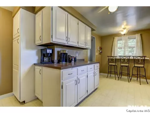 910 Greenview Dr, Springfield, IL 62704 photo 13