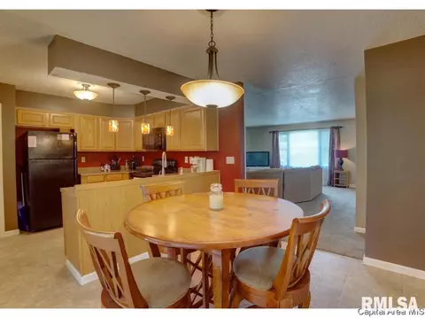 111 Hawkeye Rd, Springfield, IL 62707 photo 10