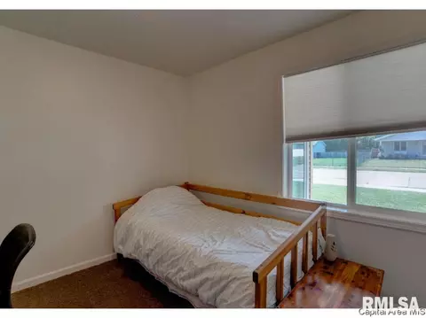 111 Hawkeye Rd, Springfield, IL 62707 photo 19