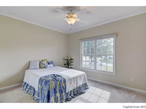 6512 Carlisle Bnd, Springfield, IL 62711 photo 17