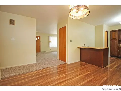 38 Radcliff Rd, Springfield, IL 62703 photo 7