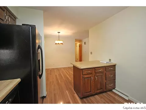 38 Radcliff Rd, Springfield, IL 62703 photo 12